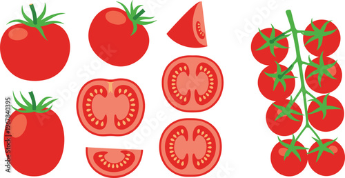 Tomato vector set with whole fruits, slices, and cherry tomato branch. Fresh red tomatoes with cut sections. Organic food illustration for cooking and grocery design.