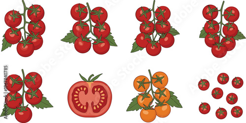 Cherry tomato vector set with clusters and slices. Red and yellow tomatoes with leaves and cut section. Fresh organic food illustration for cooking and grocery design.