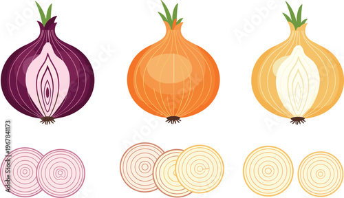 Colorful onion varieties vector set with whole bulbs and sliced rings. Red, yellow, and white onions for cooking, grocery, and organic food design.