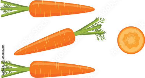 Carrot set with slice flat vector illustration. Fresh whole carrots and cross section piece. Organic vegetable design for cooking, farming, and healthy food concepts.