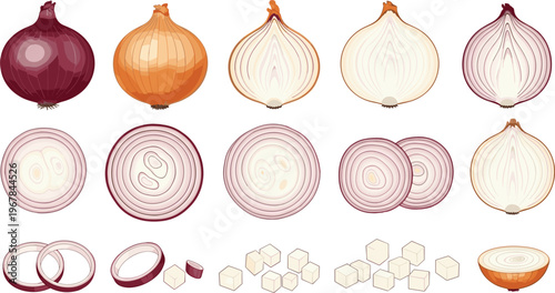 Onion vector collection with slices and cubes. Red, yellow, and white varieties in different cuts. Fresh organic vegetable set for cooking, grocery, and kitchen design.
