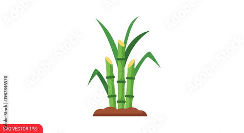 Green Sugarcane Plant Growing in Soil, Flat Icon