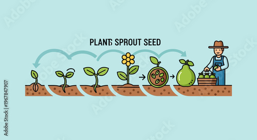Plant Growth Cycle: Seed to Fruit Harvest with Farmer Illustration