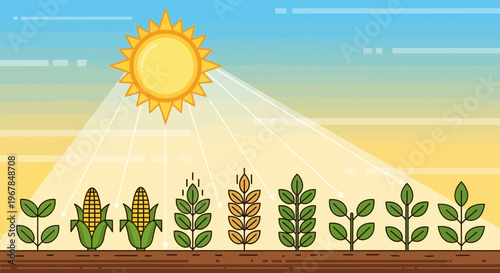 Sunlight powering crop growth: corn, wheat, soybean, and other plants