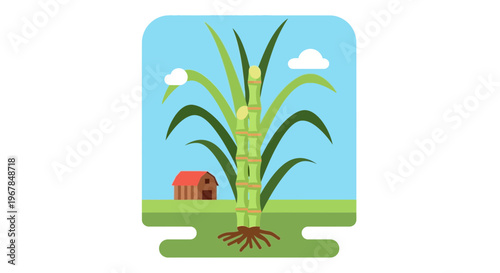 Sugarcane Plant with Farmhouse and Blue Sky Vector Illustration