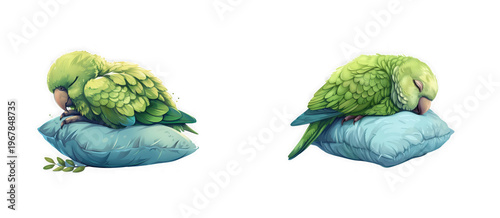 Green birds sleeping on pillows, cute parrots, peaceful rest as clean isolated on transparent background