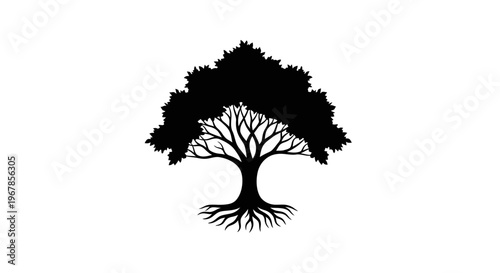 Silhouette of a large oak tree with visible roots and branches on white background