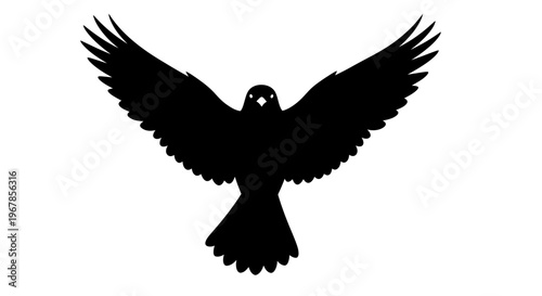 Silhouette of a soaring bird with outstretched wings on white background