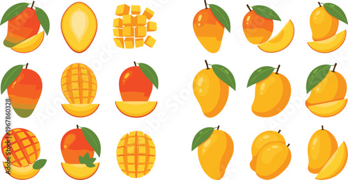 Mango vector set with whole fruits and sliced pieces. Fresh ripe tropical fruit collection isolated on white background. Sweet juicy food illustration for packaging and design.