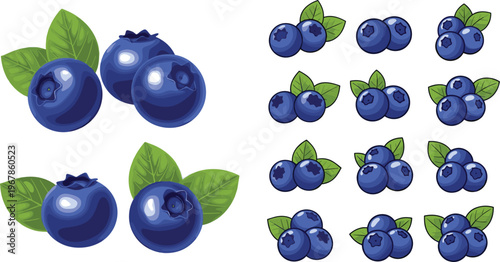 Blueberry vector set with whole and small berry clusters. Fresh organic fruit collection with leaves isolated on white background. Natural healthy food illustration for design.