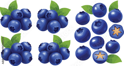 Blueberry vector set with clusters and cut berries. Fresh ripe fruit collection with leaves isolated on white background. Organic healthy food illustration for packaging and design.
