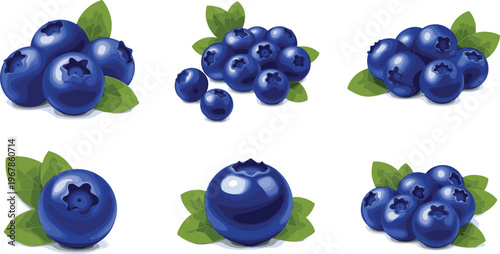 Blueberry vector set with clusters and single berries. Fresh ripe fruit collection with green leaves isolated on white background. Organic healthy food illustration for packaging.