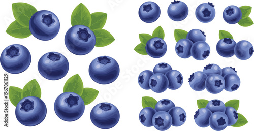 Blueberry vector set with single berries and clusters with leaves. Fresh organic fruit in realistic glossy style. Perfect for packaging, food branding and healthy designs.