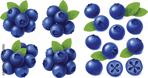 Blueberry vector set with clusters, single and cut berries. Fresh organic fruit with leaves in realistic glossy style. Perfect for packaging, food branding and healthy designs.