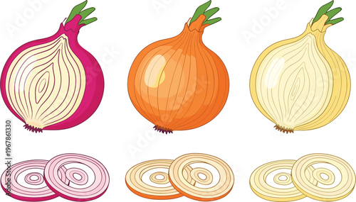 Onion varieties flat vector set. Red, yellow, and white bulbs with sliced rings. Fresh organic vegetable illustration for cooking, grocery, and food design.