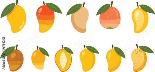 Mango fruit varieties flat vector set. Different ripe mango shapes, colors and textures with leaves. Tropical illustrations for food design, farming and fresh produce themes.