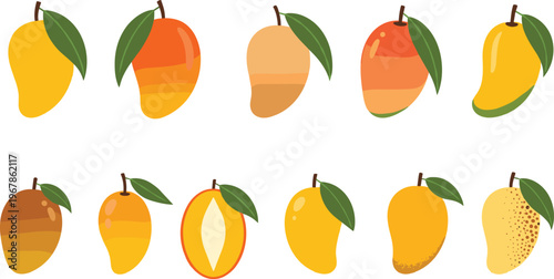 Mango fruit types flat vector set. Different mango varieties with unique shapes, colors and textures. Tropical illustrations for food, farming and fresh produce design.
