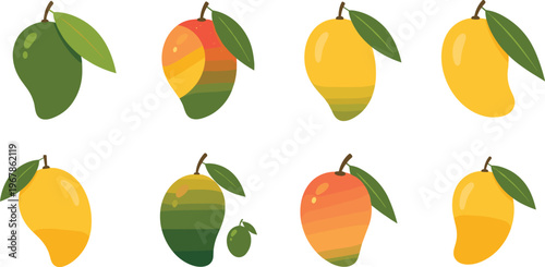 Mango fruit varieties flat vector set. Collection of different ripe mango shapes and color stages with leaves. Tropical illustrations for food, farming and fresh produce.