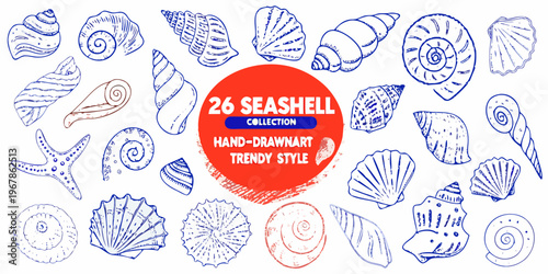 Collection of hand drawn seashells and a starfish in blue sketch style