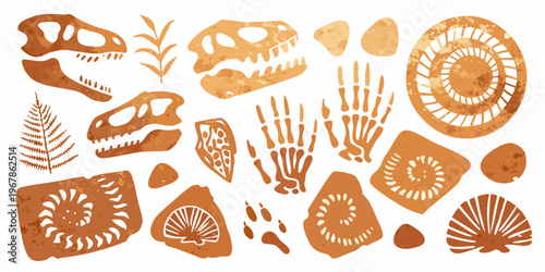 Watercolor illustration of dinosaur fossils plants and prehistoric artifacts