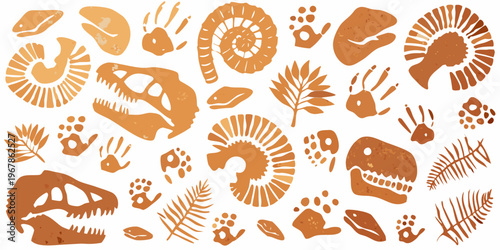 Paleontological collection featuring dinosaur fossils and prehistoric footprints