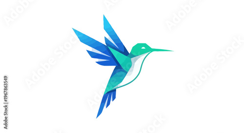 A colorful hummingbird vector illustration featuring a small tropical colibri in flight with spread wings and a sharp beak, designed as a vibrant nature wildlife art silhouette