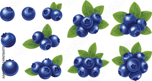 Blueberry vector collection with single berries and clusters with leaves. Fresh organic fruit in realistic glossy style. Perfect for packaging, food branding and healthy designs.