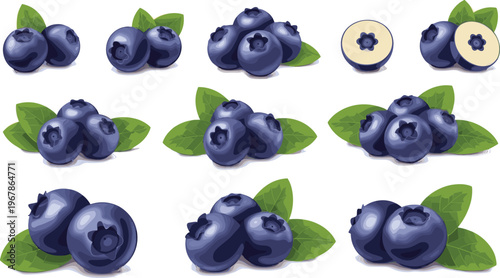 Blueberry vector set with clusters, whole and cut berries. Fresh organic fruit with leaves in realistic glossy style. Ideal for packaging, food branding and healthy designs.