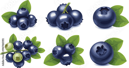 Blueberry vector set with clusters, cut and whole berries. Fresh organic fruit with leaves in realistic glossy style. Perfect for packaging, food branding and healthy designs.