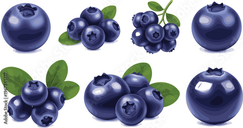 Blueberry fruit vector set with single berries and clusters. Fresh juicy berries with leaves in realistic glossy style. Ideal for packaging, food branding and healthy designs.