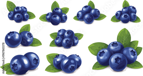 Blueberry clusters vector collection with leaves in realistic style. Fresh juicy berries isolated on white background. Perfect for packaging, food branding and healthy product design.