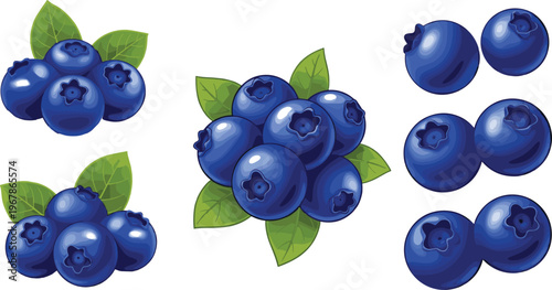 Blueberry fruit vector set with realistic clusters and single berries. Glossy fresh appearance with green leaves. Perfect for healthy food packaging, organic branding, and nutrition visuals.