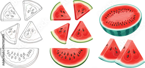 Watermelon slices vector set with sketch and realistic styles. Juicy red flesh and green rind illustrations. Ideal for summer food design, menus, and fresh product visuals.