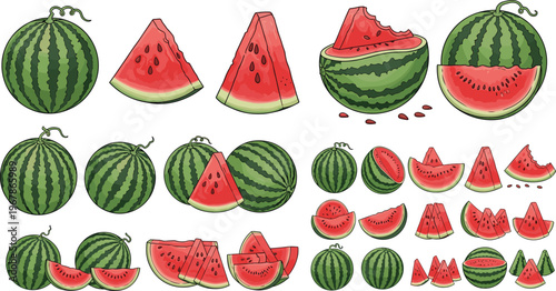 Watermelon vector collection with whole fruits and sliced pieces in various sizes. Juicy red flesh and green striped rind illustrations. Perfect for summer food design and fresh visuals.