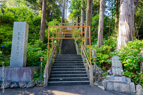 Bild auf Leinwand 千葉県　真野寺の紫陽花　