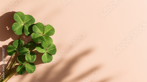 Minimal Plant Concept with Clover and Natural Shadow