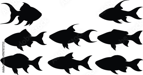 Rainbowfish silhouette set. Tropical aquarium fish vector collection with unique fin shapes and multiple poses. Freshwater fish silhouettes isolated for nature, pet, and design use.