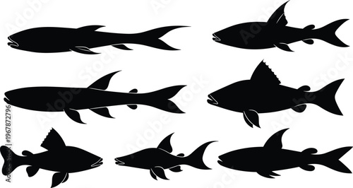 Plecostomus fish silhouette set. Tropical aquarium vector collection with multiple poses and fin variations. Freshwater pleco silhouettes isolated for nature, pet, and graphic design use.