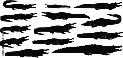 Crocodile silhouette mega set. Alligator black vector collection with multiple poses and angles. Wild reptile shapes isolated for logo, wildlife, tattoo, and design projects.