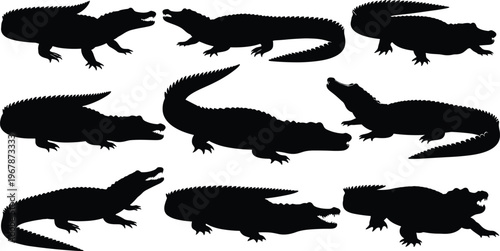 Crocodile silhouette collection. Alligator vector set with aggressive poses and open mouth actions. Wild reptile shapes isolated for logo, tattoo, wildlife, and design projects.