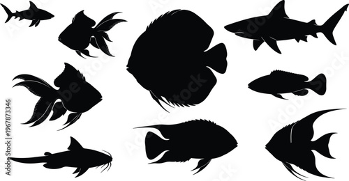 Fish silhouette bundle. Mixed species vector collection with central discus and various tropical fish shapes. Aquatic animal silhouettes isolated for logo, design, and creative use.