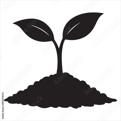 A black silhouette of a plant sprouting from the ground