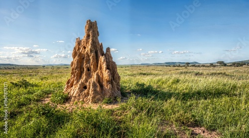 Large termite mound in a green savanna landscape. Towering earthen insect nest in African grassland. Natural architecture under a blue sky