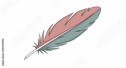 Soft Feather Quill Pen Isolated on White Background, Delicate and Light