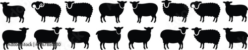 Black silhouette collection of various sheep and rams in different poses isolated on a white background for farm agriculture and livestock nature design elements.