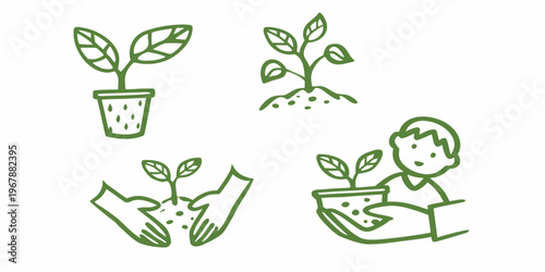 Simple drawings depicting plant growth potting and care