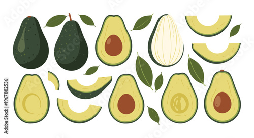 Fresh avocado collection featuring whole fruits halves with pits and various slices on a white background with leaves.