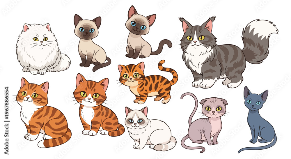 Fototapeta premium cartoon cat breeds bundle, 9 cats in one frame, Persian Siamese Maine Coon British Shorthair Bengal Scottish Fold Ragdoll Sphynx Russian Blue, cute vector illustration, flat design