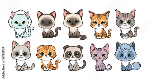 9 cat breeds cartoon bundle in one frame, Persian Siamese Maine Coon British Shorthair Bengal Scottish Fold Ragdoll Sphynx Russian Blue, kawaii style, chibi cat characters, pastel color