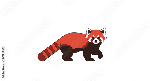 Cute Red Panda Walking Isolated on White Background, Animation Style